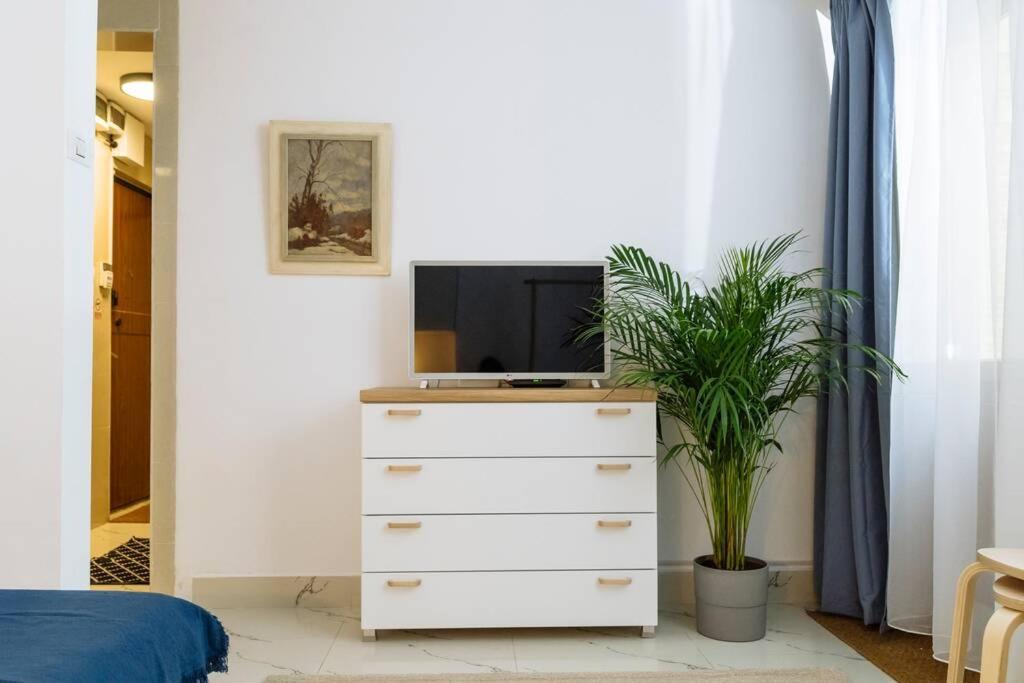 Studio With Private Terrace Next To Cismigiu Bukarest Kültér fotó